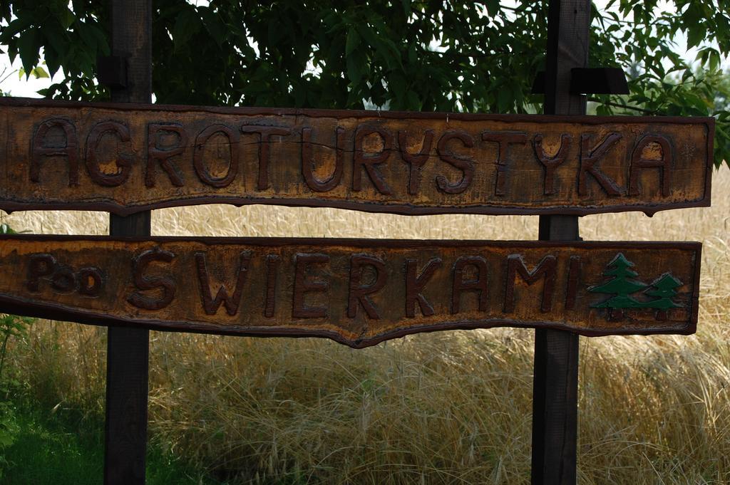 Agroturystyka Pod Swierkami Nadrybie Exteriér fotografie