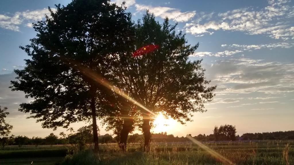 Agroturystyka Pod Swierkami Nadrybie Exteriér fotografie