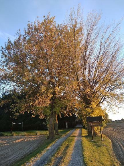 Agroturystyka Pod Swierkami Nadrybie Exteriér fotografie